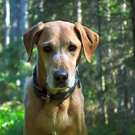 Kleine Bio Tiefenbach *