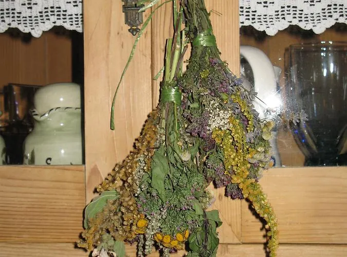 酒店 Kleine Bio Tiefenbach *